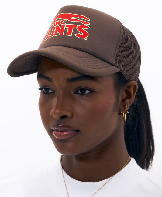 Brown Trucker Cap