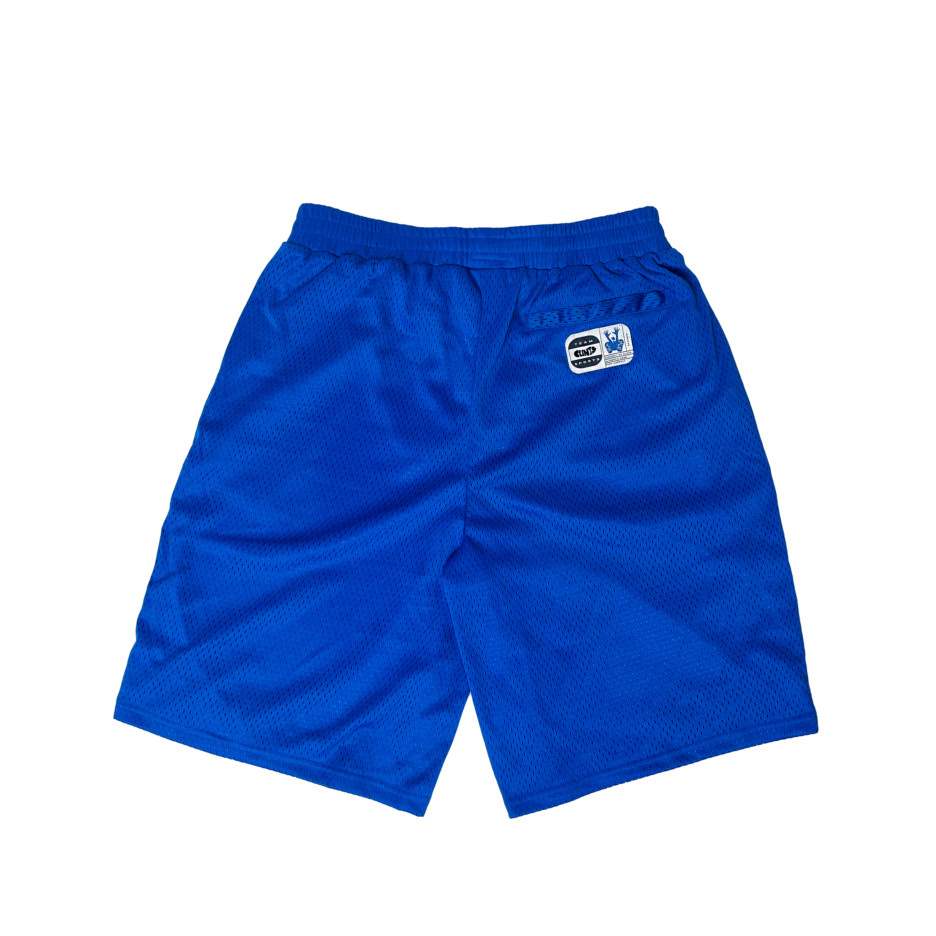 Mesh Shorts - Blue