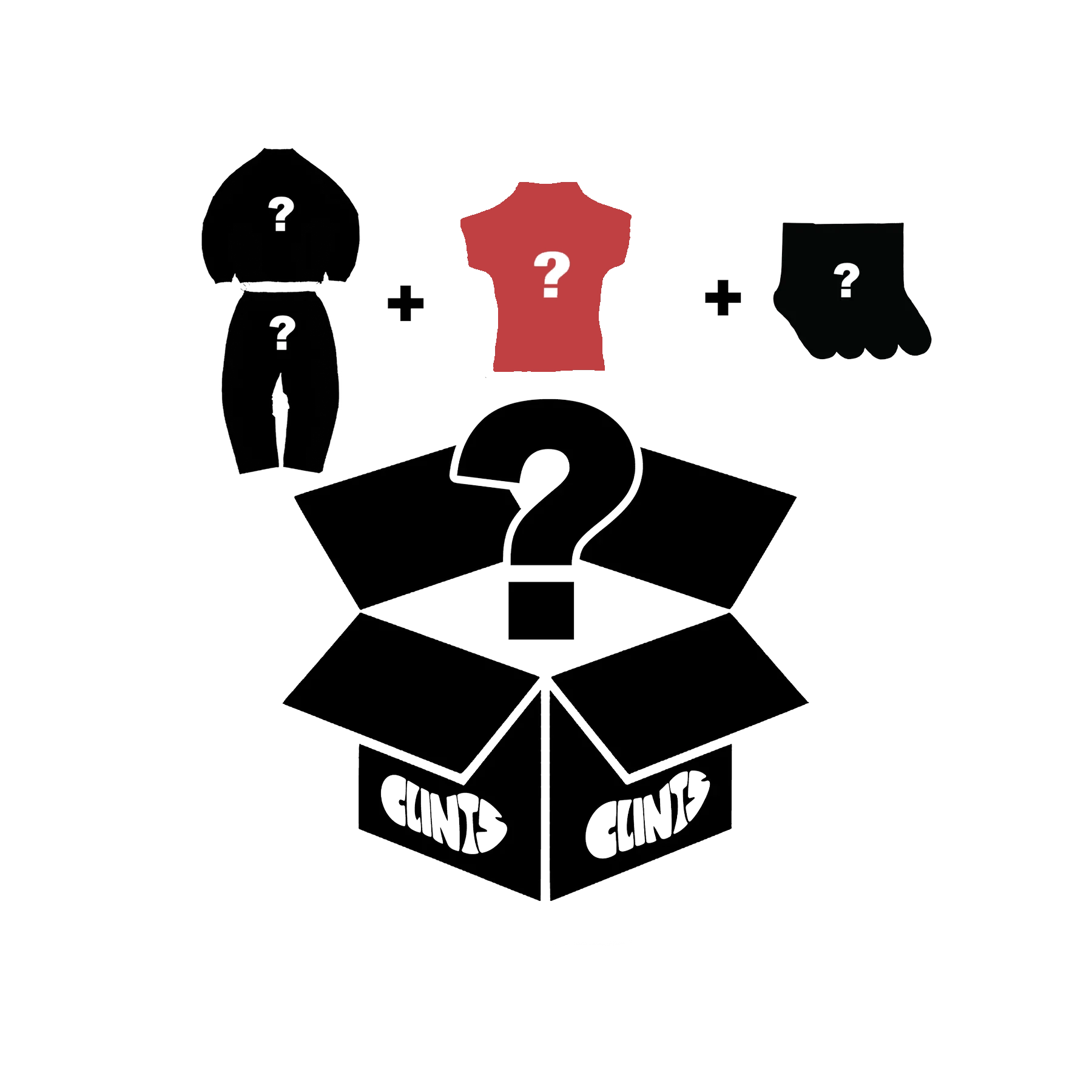 Apparel Mystery Box - Premium Pack (WOMENS)