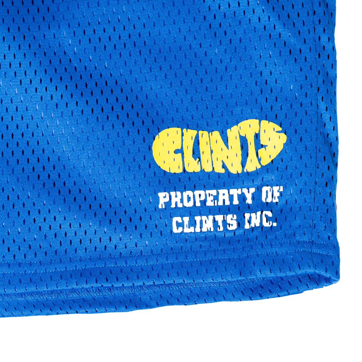 Mesh Shorts - Blue