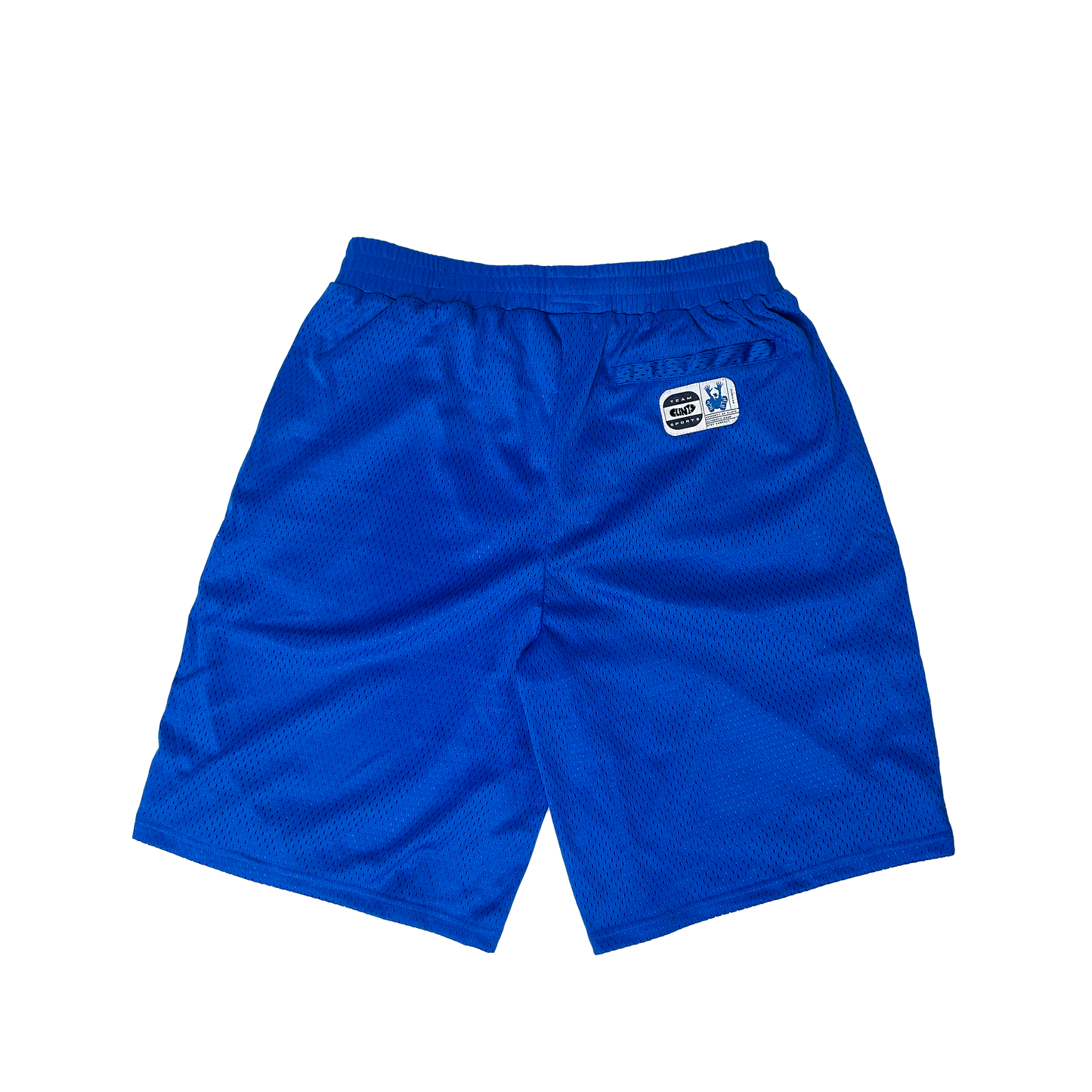 Mesh Shorts - Blue
