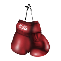 "Boxing" Tee