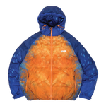 ⁠Kingfisher Puffer