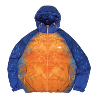 ⁠Kingfisher Puffer