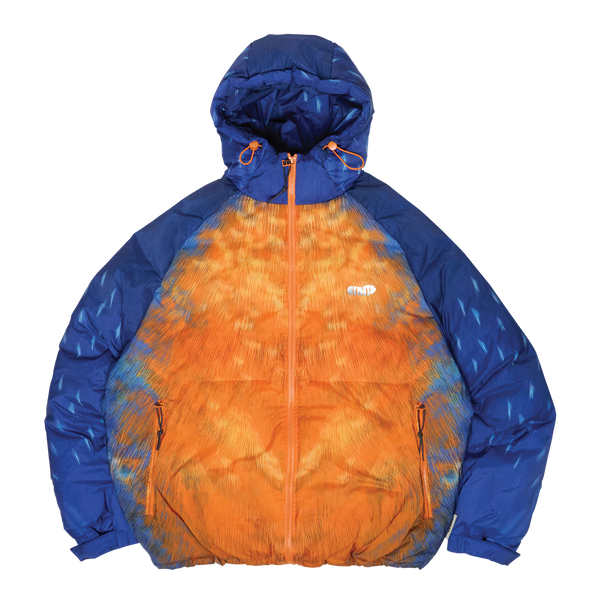 ⁠Kingfisher Puffer