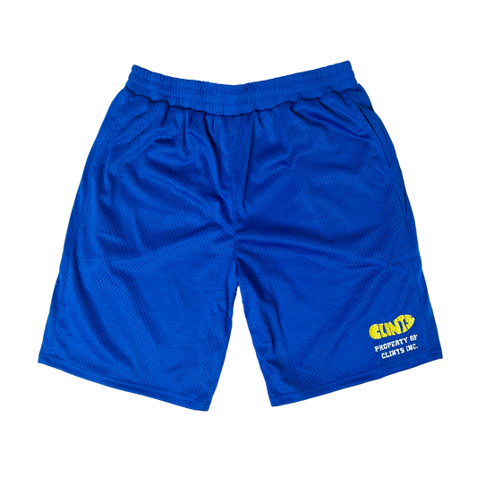 Mesh Shorts - Blue